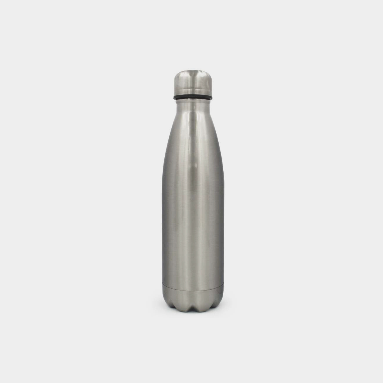 stainless bottles